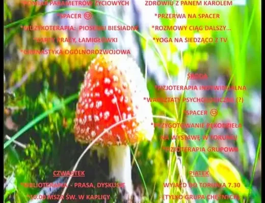 Dzienny Dom Pomocy w piątek 18.09.2026 zamknięty – kadra i seniorzy jadą na konferencję do Torunia