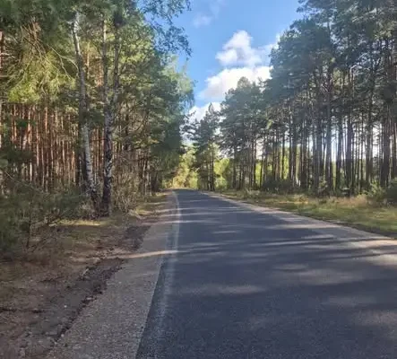 Nowa droga Rzepiczna – Rosochatka oficjalnie oddana do użytku