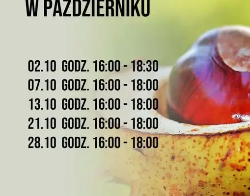 Świetlica wiejska w Żalnie zaprasza dzieci na październikowe zajęcia