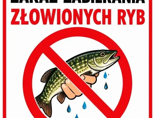 Apel do wędkarzy w Lubiewie: stosujcie zasadę „no kill”