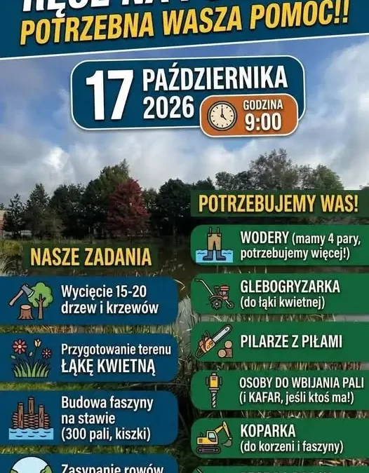 Lubiewo: modernizacja terenu nad stawem – sołectwo apeluje o pomoc w pracach
